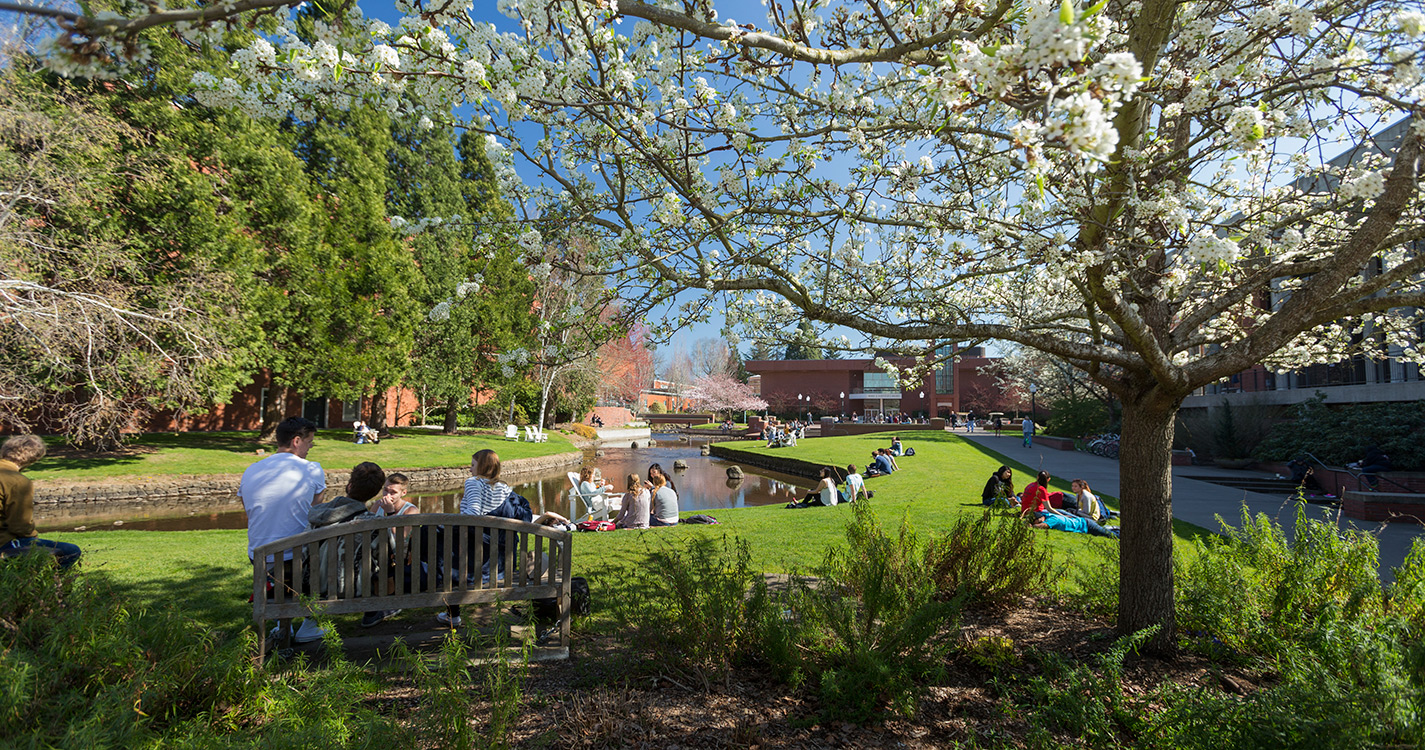 Students sitting by the Mill Stream